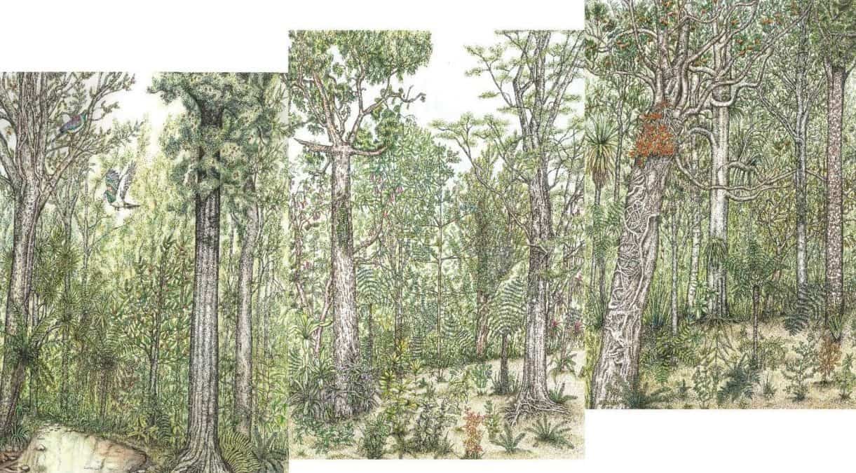 Photo: The complete panels without text produced by the artist, Ilze Pretorius, showing the lowest level of the Tuhoe–Tuawhenua forest.