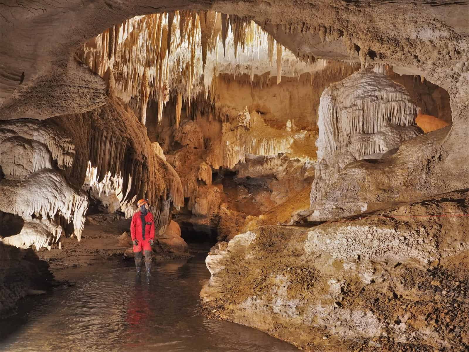 Waitomo Cave Anna Stewart