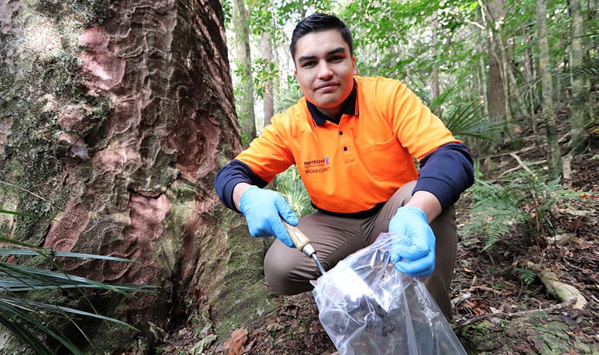 Adrian Peachey taking soil samples. Image: Northland Regional Council.