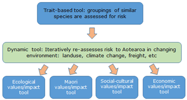 So4 Risk Assessment Framework